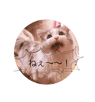 Máni Máni ♡（個別スタンプ：24）