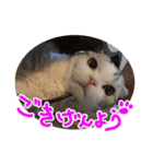 るーちゃんがいる毎日（個別スタンプ：4）