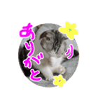 るーちゃんがいる毎日（個別スタンプ：5）