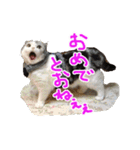るーちゃんがいる毎日（個別スタンプ：7）