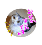 るーちゃんがいる毎日（個別スタンプ：8）