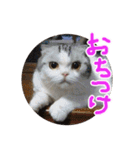 るーちゃんがいる毎日（個別スタンプ：11）