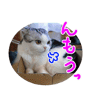るーちゃんがいる毎日（個別スタンプ：13）