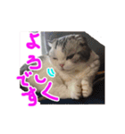 るーちゃんがいる毎日（個別スタンプ：14）