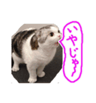 るーちゃんがいる毎日（個別スタンプ：17）