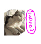 るーちゃんがいる毎日（個別スタンプ：27）