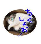 るーちゃんがいる毎日（個別スタンプ：28）