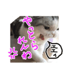 るーちゃんがいる毎日（個別スタンプ：37）