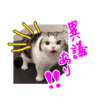 るーちゃんがいる毎日（個別スタンプ：38）