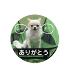 よく使うtofuの気持ち（個別スタンプ：3）