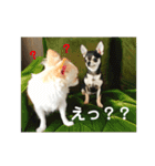 よく使うtofuの気持ち（個別スタンプ：9）