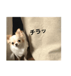 よく使うtofuの気持ち（個別スタンプ：10）