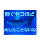 写真が語る名言（個別スタンプ：2）