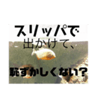 写真が語る名言（個別スタンプ：4）