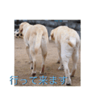 凛幸☆仲良し兄弟（個別スタンプ：6）