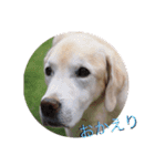 凛幸☆仲良し兄弟（個別スタンプ：8）