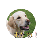 凛幸☆仲良し兄弟（個別スタンプ：10）