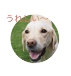 凛幸☆仲良し兄弟（個別スタンプ：12）