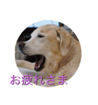 凛幸☆仲良し兄弟（個別スタンプ：14）