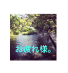 癒し風景と一緒（個別スタンプ：1）