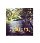 癒し風景と一緒（個別スタンプ：2）