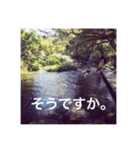 癒し風景と一緒（個別スタンプ：5）