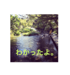 癒し風景と一緒（個別スタンプ：6）