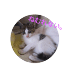 チビちゃんたち。（個別スタンプ：4）