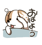 ジャックラッセルのPOPちゃんスタンプ（個別スタンプ：6）