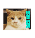 GINGERスタンプリニューアル完全版（個別スタンプ：8）
