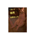 GINGERスタンプリニューアル完全版（個別スタンプ：23）