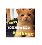 GINGERスタンプリニューアル完全版（個別スタンプ：32）