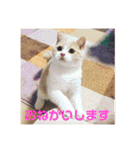 GINGERスタンプリニューアル完全版（個別スタンプ：35）