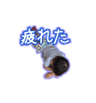 苺桃日和。三（個別スタンプ：6）