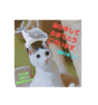 みけねこつくし（個別スタンプ：4）