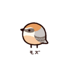 日本の小鳥（個別スタンプ：4）