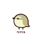 日本の小鳥（個別スタンプ：6）