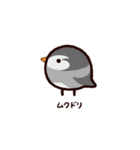 日本の小鳥（個別スタンプ：8）