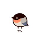 日本の小鳥（個別スタンプ：31）