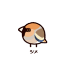 日本の小鳥（個別スタンプ：34）