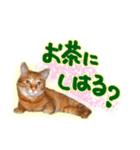 はんなり京都弁・トラ猫みいちゃん2（個別スタンプ：8）