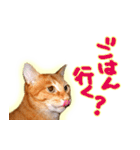 はんなり京都弁・トラ猫みいちゃん2（個別スタンプ：9）