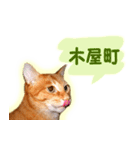 はんなり京都弁・トラ猫みいちゃん2（個別スタンプ：17）