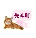 はんなり京都弁・トラ猫みいちゃん2（個別スタンプ：18）