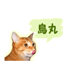 はんなり京都弁・トラ猫みいちゃん2（個別スタンプ：20）