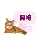 はんなり京都弁・トラ猫みいちゃん2（個別スタンプ：26）