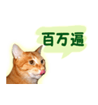 はんなり京都弁・トラ猫みいちゃん2（個別スタンプ：27）