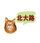 はんなり京都弁・トラ猫みいちゃん2（個別スタンプ：30）