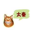 はんなり京都弁・トラ猫みいちゃん2（個別スタンプ：31）