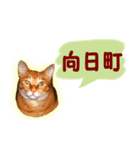 はんなり京都弁・トラ猫みいちゃん2（個別スタンプ：32）